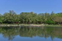 Բ��԰�Ĵ��쾰ɫ