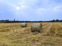 ԭҰ����ݶ�