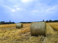 ԭҰ�����������