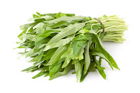 �ױ����ϵ���ɫ�л�޳��