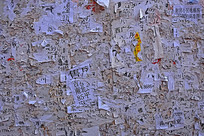 ���С���