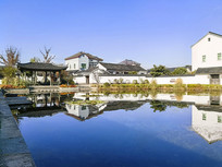 ����ͤ��