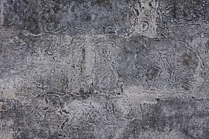 ������ǽ