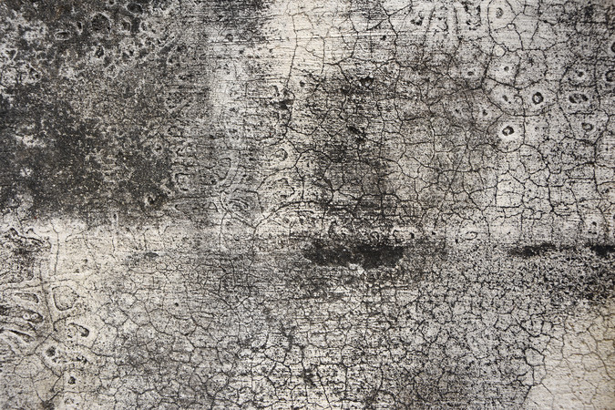 ���������ǽ