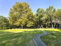 ��������У԰������ͩ