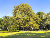 ��������У԰����