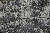 �����Ͻ���ǽ��