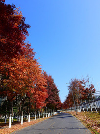 ������·������Ӱ