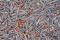 �������