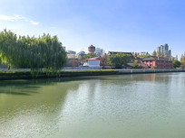 ����������У԰