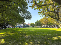 ����У԰��������