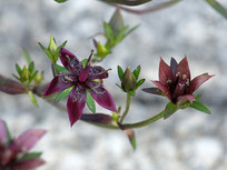 �Ϻ�����˻���