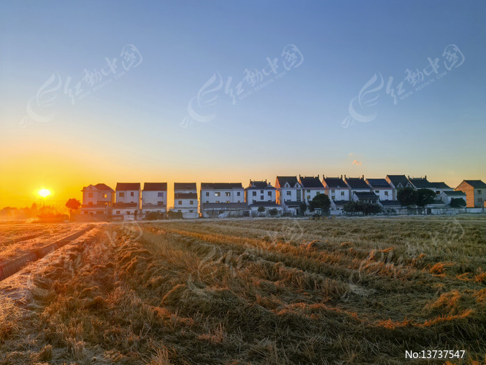 ����������ͼƬ