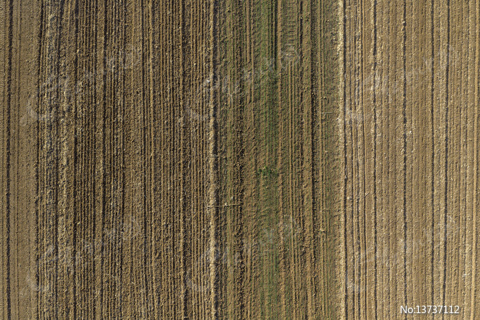 ����ũ������ͼƬ