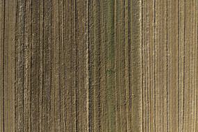 ����ũ������