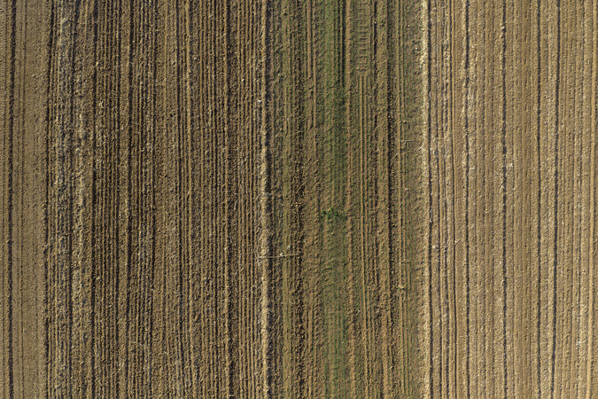 ����ũ������