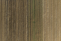 ����ũ������