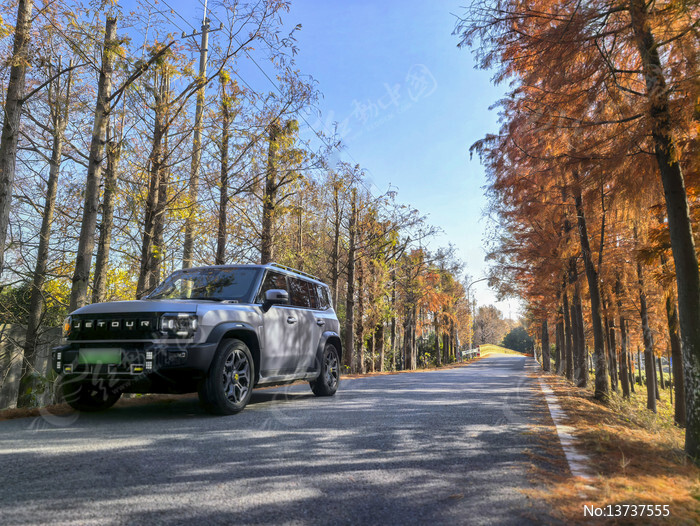 ������ԽҰ��ͼƬ