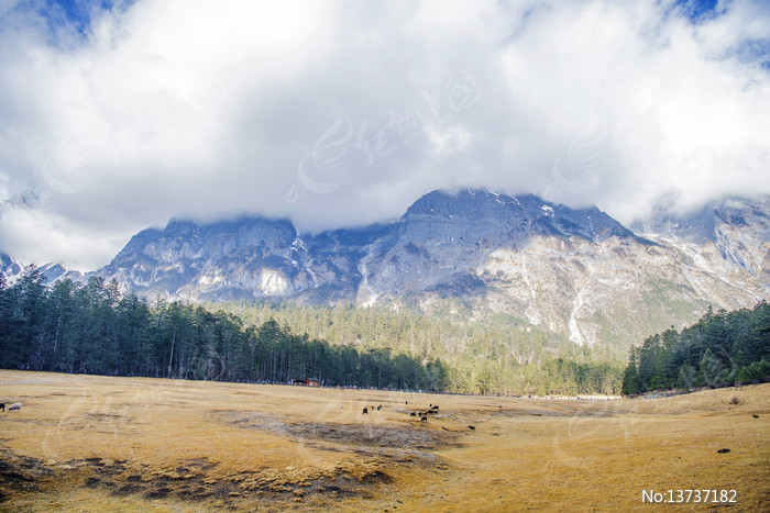 ��������ѩɽ��������ɽƺͼƬ