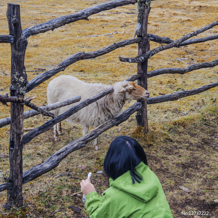 Ů��ι��ͼƬ