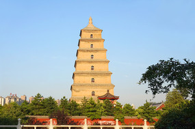 �����������ƴ�������