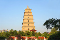 �����������ƴ�������