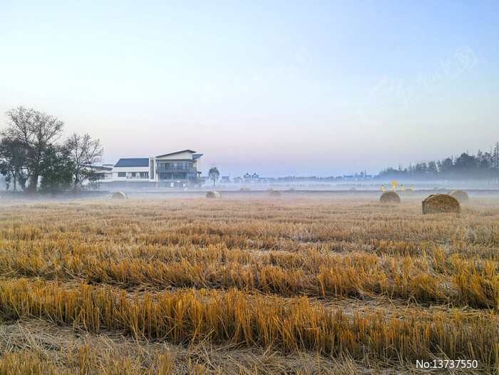 ���������ͼƬ