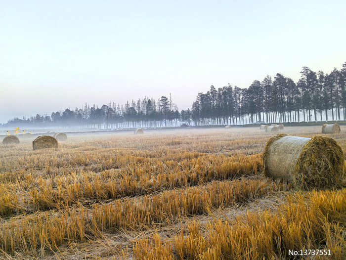 ����������峿ͼƬ