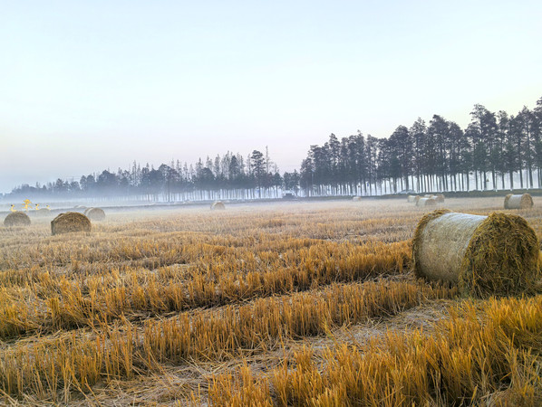 ����������峿