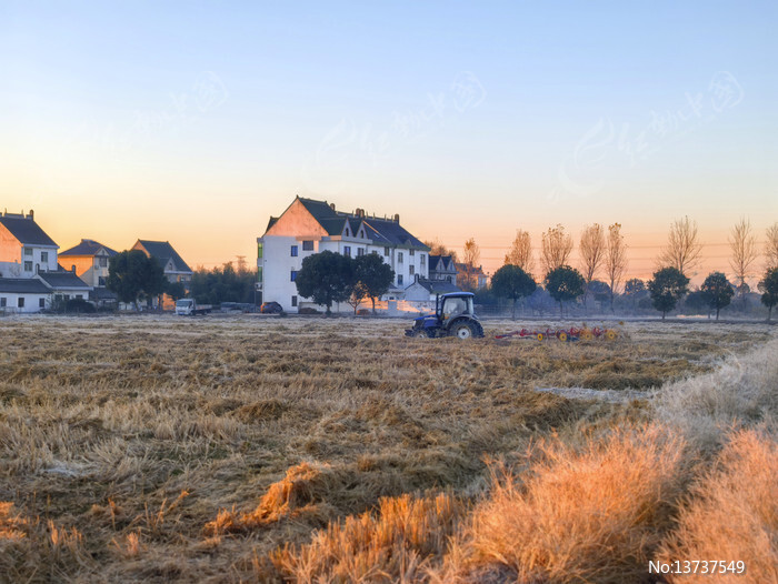 ��Ұ�峿����§�ݻ�ͼƬ