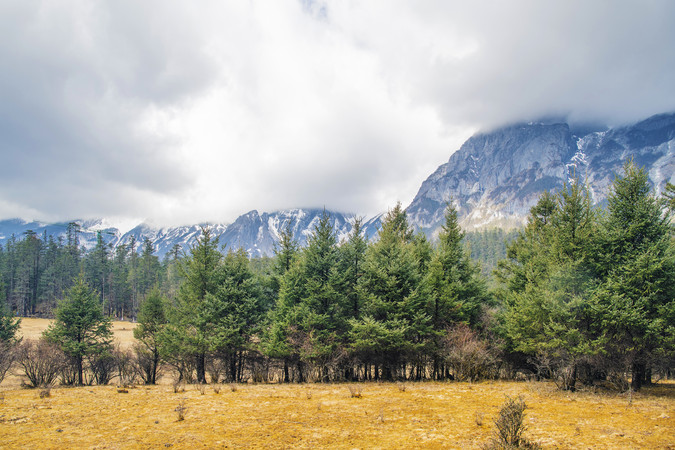 ����ѩɽ�����ƺ���ɽƺ��ľ