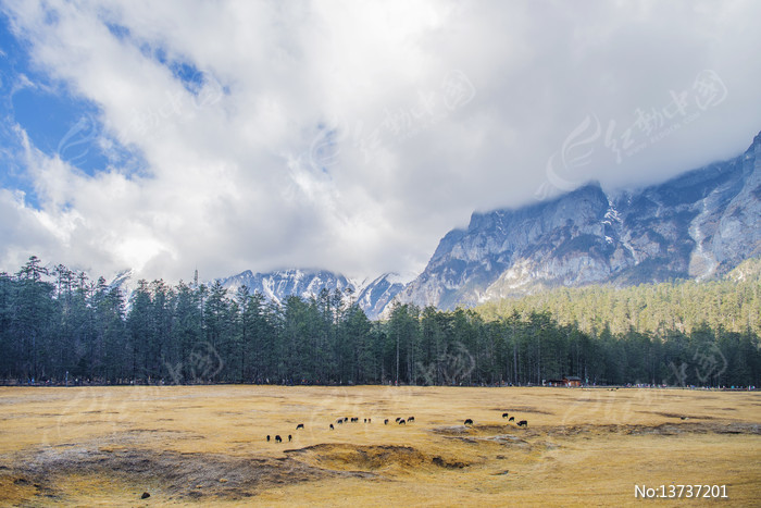 ����ѩɽ��������������ɽƺͼƬ