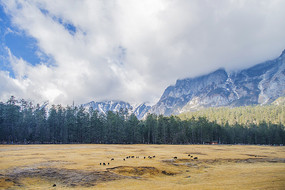 ����ѩɽ��������������ɽƺ