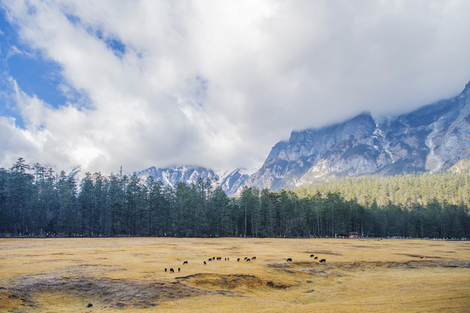 ����ѩɽ��������������ɽƺ