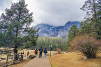 ����ѩɽ��ɽƺľջ��������