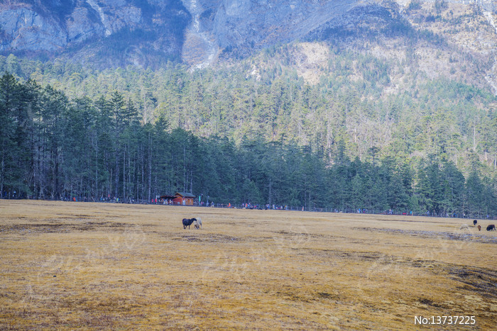 ����ѩɽ��ɽƺ��������ֻ��ͼƬ