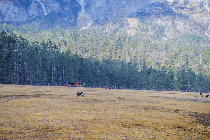 ����ѩɽ��ɽƺ��������ֻ��