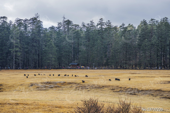 ����ѩɽ��ɽƺ������Ⱥ��ͼƬ