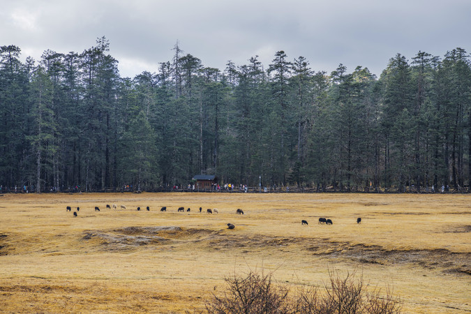 ����ѩɽ��ɽƺ������Ⱥ��