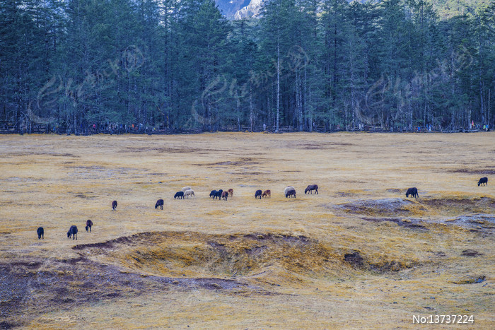 ����ѩɽ��ɽƺ��������ȺͼƬ