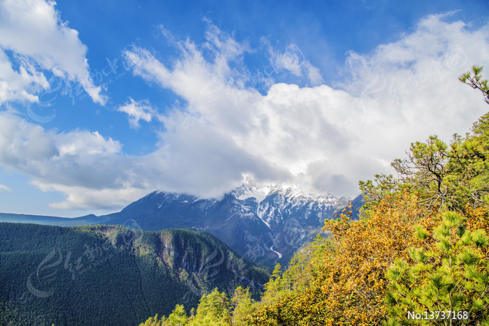 ������������ѩɽ����ľ����ͼƬ