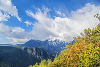 ������������ѩɽ����ľ����