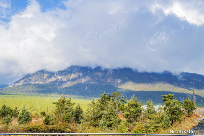 ������������ѩɽ����ľ����ͼƬ