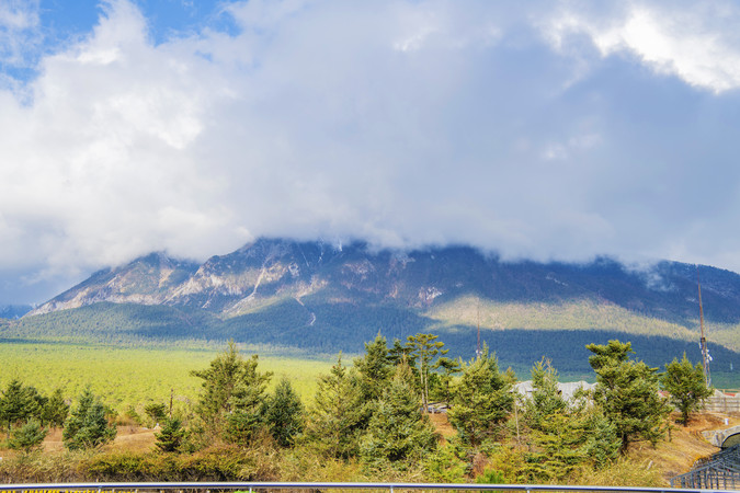 ������������ѩɽ����ľ����