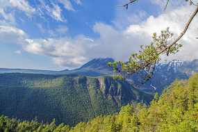 ������������ѩɽ�������֦