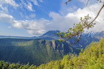 ������������ѩɽ�������֦