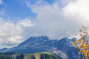 ������������ѩɽ���������