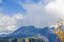 ������������ѩɽ���������