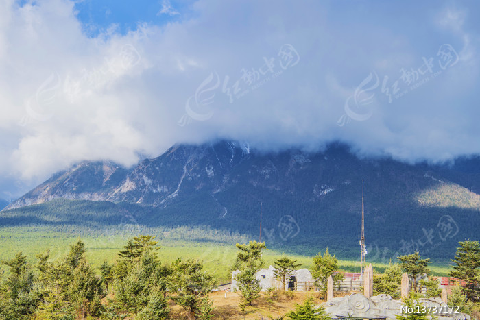 ������������ѩɽ����ľ����ͼƬ