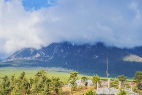 ������������ѩɽ����ľ����